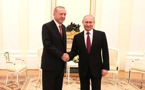 Эрдоган 4 января планирует обсудить с Путиным тему газового хаба