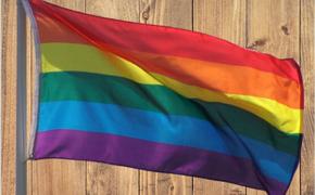 Латвия: школьников просят поддержать однополые браки