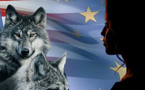 Новости толерантного Запада: Как люди определяют себя волками