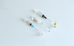 Центр имени Гамалеи начал создавать вакцину от «кракена»