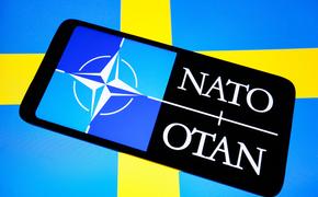 Турция обвинила Стокгольм в нарушении обязательств, связанных с процессом вступления Швеции в НАТО