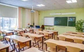 Почему многие педагоги в Латвии не владеют государственным языком