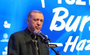 Эрдоган заявил, что выборы в Турции пройдут досрочно, 14 мая