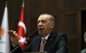 Эрдоган пригрозил Греции «бешеными турками»