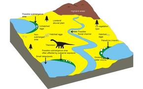 Открытие места скопления кладок гнездования мелового периода предполагает, что титанозавры отложили яйца и оставили свое потомство