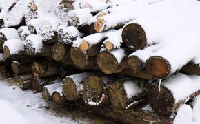 Мошенники выдают себя за продавцов дров в дни сильных морозов в Хабаровском крае
