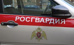 Инженеры Росгвардии уничтожили порядка 13 тонн взрывчатки с начала проведения спецоперации