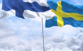 Политолог Светов: «Швеция и Финляндия обязательно вступят в НАТО»