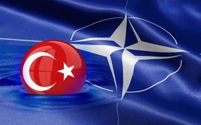 Турции угрожают не противники, а сторонники по НАТО
