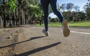 Кубань занимает третье место в стране по числу занимающихся физкультурой