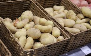 Врач-диетолог Соломатина: картофель способствует укреплению сердечно-сосудистой системы  