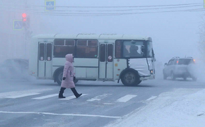 В Хабаровске зафиксировали самые длительные аномальные морозы за более 40 лет