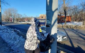 В Хабаровске борются с незаконной рекламой