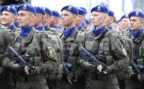 МВД Украины создаст в структуре НГУ шесть новых штурмовых бригад