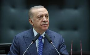 РИА Новости: Эрдоган в понедельник обсудит с правительством Турции процесс вступления Швеции и Финляндии в НАТО