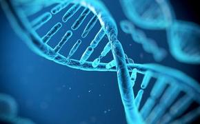 Эксперт Черноусов: «Закон о сборе ДНК поможет в раскрытии уголовных дел»