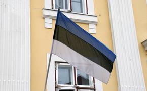 Политолог Межевич: «Эстонская государственность — это правовая форма существования воров»  