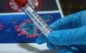 Россияне выработали иммунитет к вакцине от COVID-19