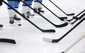 Начинается серия домашних матчей хоккейного клуба СКА перед плей-офф
