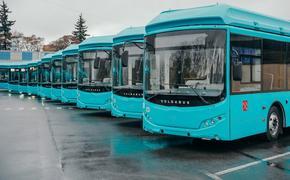 В Петербурге усилено движение трех автобусных маршрутов