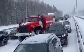 Следственный комитет возбудил уголовное дело по факту ДТП с 41 автомобилем на скоростной трассе Москва - Петербург