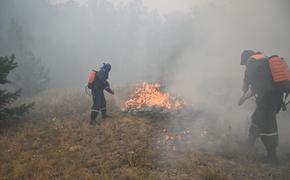 Челябинская область продолжает подготовку к пожароопасному сезону