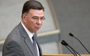 Замглавы МИД РФ Панкин: сотрудничество в ЕАЭС уменьшает последствия санкций 