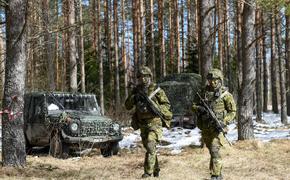 В Эстонии заговорили о том, что пора увеличить численность войск в два раза