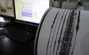 В Турции произошло землетрясение магнитудой 4,6 балла