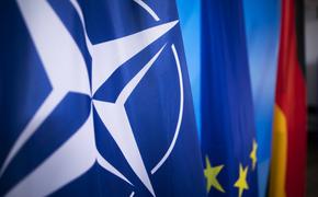 Депутат Европарламента Уоллес заявил, что НАТО своими действиями спровоцировало конфликт на Украине