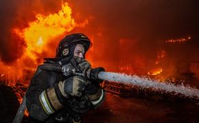 В Хабаровском крае при пожаре в селе Павленково погибли два человека