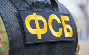 ФСБ задержала за госизмену активистку движения «ЯМыФургал»