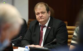 Сенатор Безденежных отреагировал на задержание хабаровчанки за госизмену