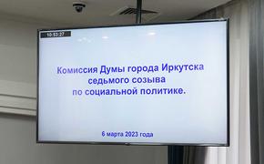 В Думе Иркутска перераспределили средства «депутатского фонда»