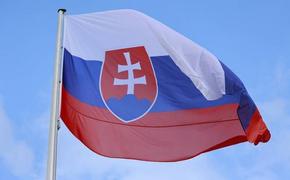 И.о. премьер-министра Словакии Хегер заявил, что правительство страны одобрило передачу Украине самолетов МиГ-29