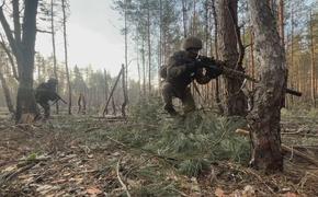 В зоне специальной военной операции российские снайперы взаимодействуют с гранатометчиками 