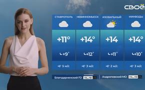 В Ставрополье прогноз погоды озвучивает виртуальная ведущая