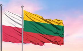 Политолог Межевич: Литва и Польша пытаются «держать улыбку»