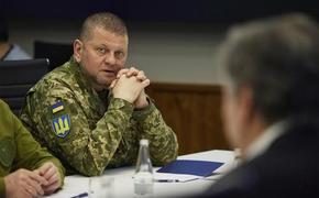 Главком ВСУ Залужный заявил, что обсудил поставки оружия с командующим войсками НАТО Каволи