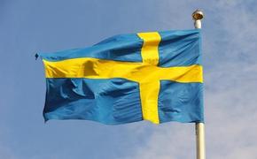 МИД Швеции вызовет российского посла после публикации статьи о вступлении королевства в альянс