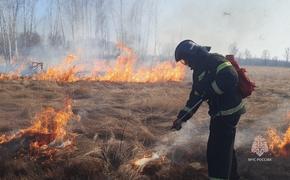 В Хабаровском крае пожарные потушили 30 палов травы