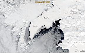 Айсберг-долгожитель, расположенный у побережья Антарктики, наконец, начал движение