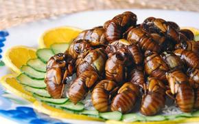 Жареные тараканы и суп из яиц муравьёв: Самые странные и неестественные блюда в Азии