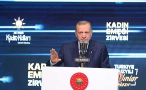 Источник РИА Новости: слухи о состоянии здоровья Эрдогана преследуют политические цели, он продолжает работать в обычном режиме