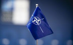 Дания, Исландия, Норвегия, Швеция и Финляндия будут помогать Украине на пути к членству в НАТО