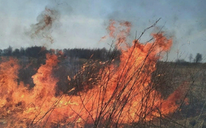 В 11 районах Хабаровского края установлен третий класс пожарной опасности
