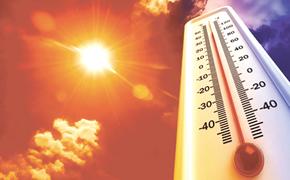 Климатологи считают, что 2023 год может стать самым жарким годом в истории
