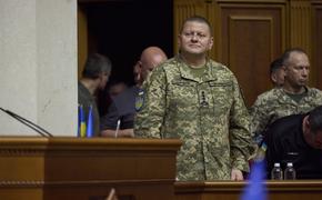 Главком ВСУ Залужный признал, что армия России нанесла войскам Украины значительный урон