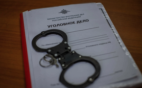 В Хабаровском крае завели три уголовных дела на онлайн-мошенников