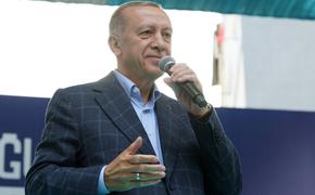 Эрдоган сообщил о продлении зерновой сделки на два месяца, поблагодарив Путина, Зеленского и Гутерреша